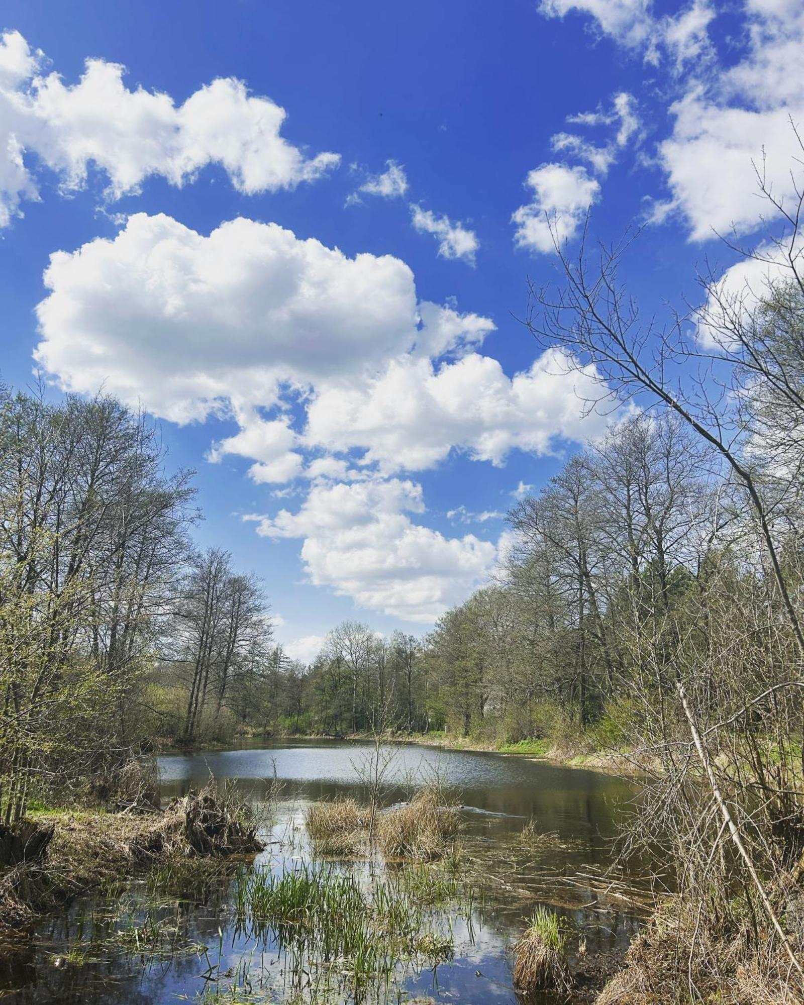 Вилла Masuria Warsaw Skrzeszew Экстерьер фото
