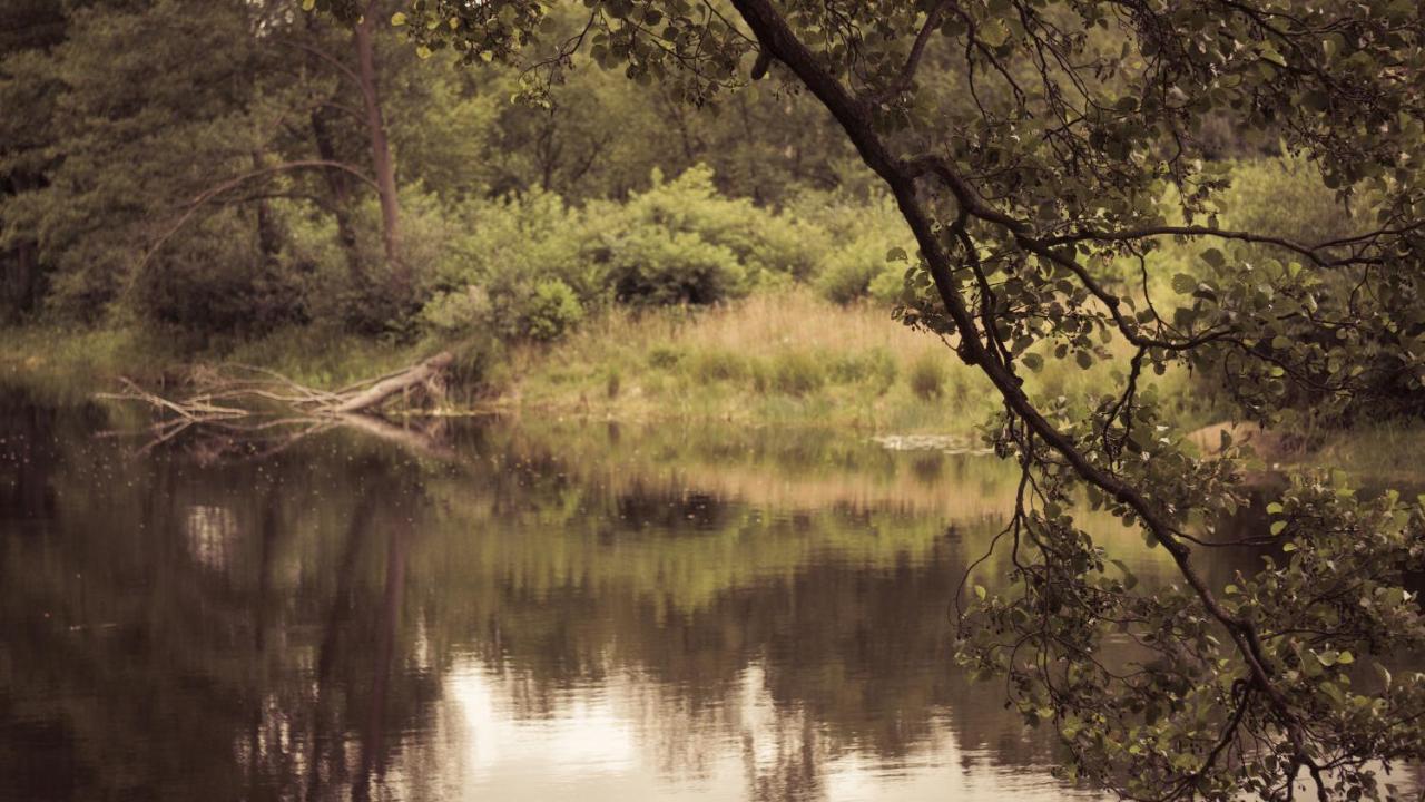 Вилла Masuria Warsaw Skrzeszew Экстерьер фото